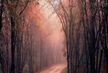 贝博体育：2025斯诺克世界大奖赛：徐思 肖国栋首轮过关.