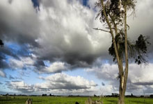 2-1！索默补时力挽狂澜，国米6连斩乌迪内斯，小因扎吉赛后道歉！.