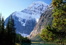 贝博体育：2025揭阳马拉松鸣枪开跑.